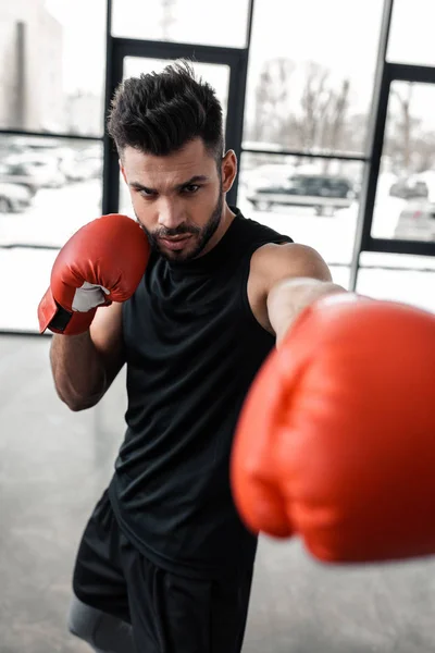 Serious bearded young sportsman in boxing gloves training in gym — Stock Photo