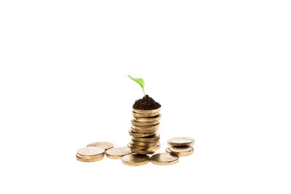 Monedas de oro con hoja verde en la parte superior aislado en blanco - foto de stock