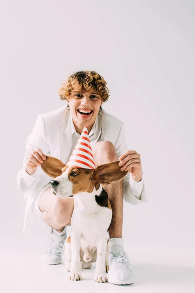 Hombre feliz con el pelo rizado sosteniendo las orejas de lindo perro beagle sobre fondo gris - foto de stock
