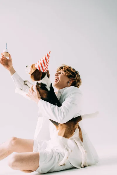 Homem feliz com cabelo encaracolado segurando cupcake acima da cabeça perto cão beagle em tampa do partido no fundo cinza — Fotografia de Stock