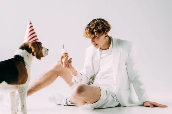 Homme avec les cheveux bouclés tenant cupcake près chien beagle dans le chapeau de fête sur fond gris — Photo de stock