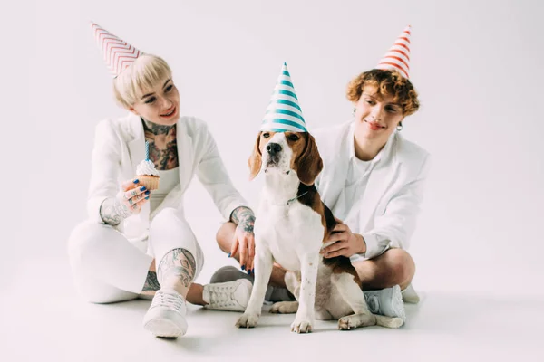 Felice coppia indossa berretti partito guardando beagle cane su sfondo grigio — Foto stock