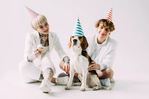 Feliz casal vestindo tampas de festa olhando para cão beagle no fundo cinza — Fotografia de Stock