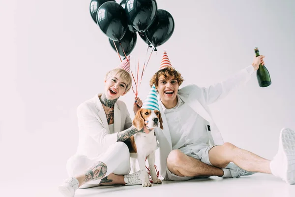 Alegre casal sentado perto de cão beagle com balões e garrafa de champanhe no fundo cinza — Fotografia de Stock