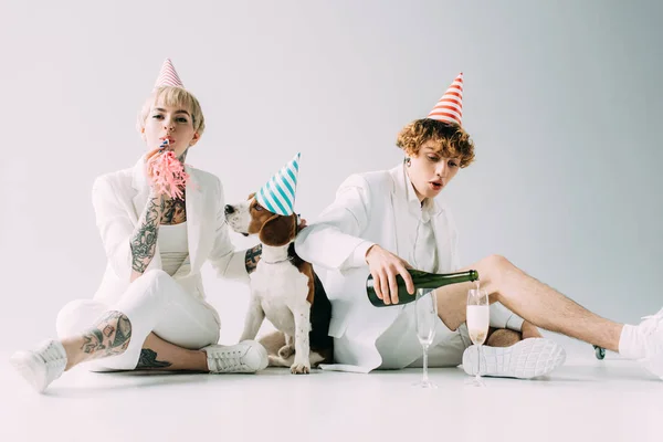 Woman holding blower while man poring champagne in glasses while sitting near beagle dog on grey background — Stock Photo