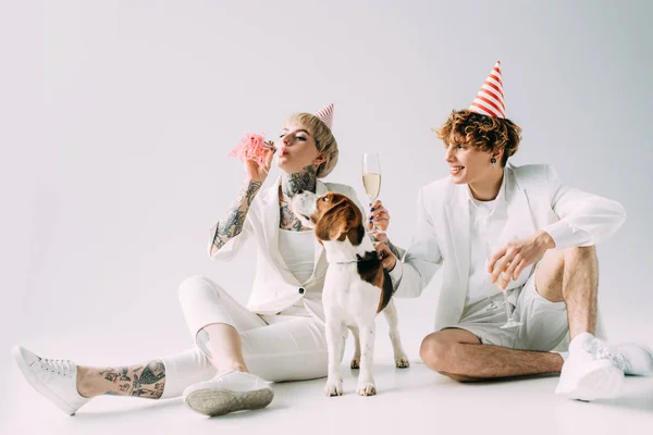 Donna che soffia nel ventilatore mentre l'uomo tiene gli occhiali con champagne mentre è seduto vicino al cane beagle su sfondo grigio — Foto stock