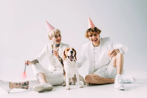 Happy woman holding blower near boyfriend with glass of champagne sitting near beagle dog on grey background — Stock Photo