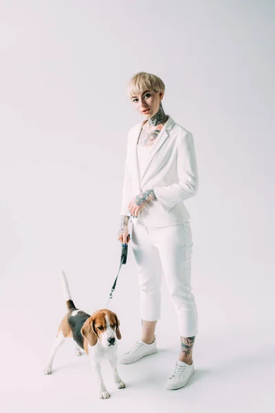 Attractive blonde woman holding leash while standing with beagle dog on grey background — Stock Photo