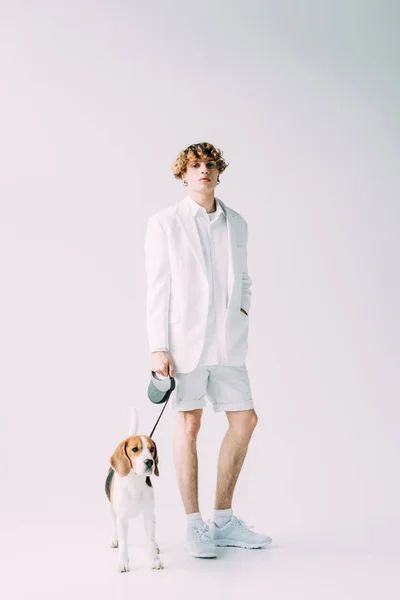 Bonito homem segurando trela enquanto em pé com beagle cão no fundo cinza — Fotografia de Stock