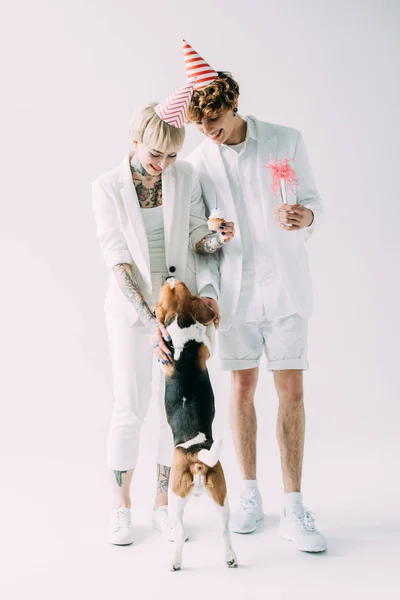Веселая пара, смотрящая на собаку-ищейку, стоя в шапочках на сером фоне — стоковое фото