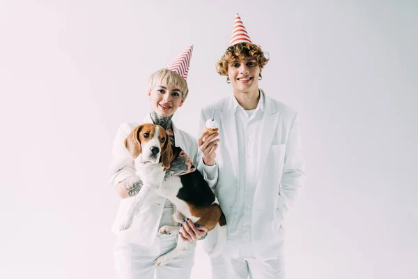 Mulher alegre segurando nos braços bonito cão beagle enquanto de pé com namorado em bonés de festa isolado no cinza — Fotografia de Stock