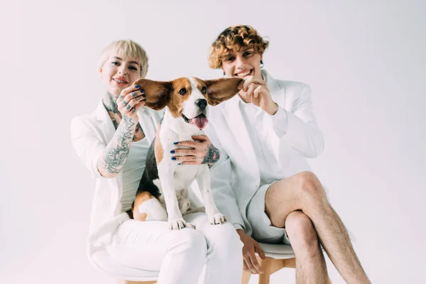 Cheerful couple holding ears of cute beagle dog isolated on grey — Stock Photo