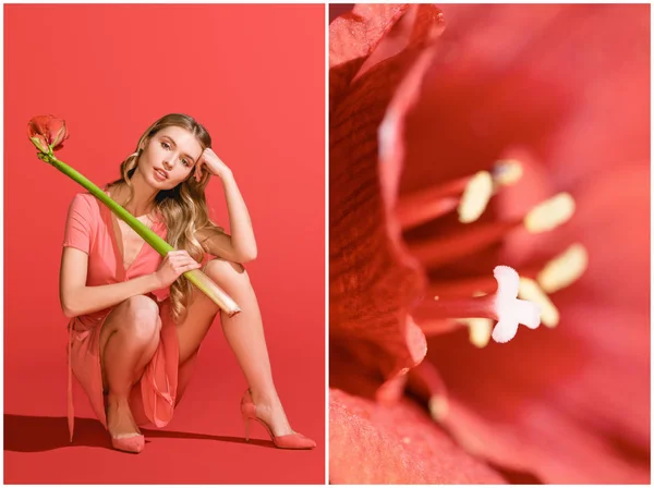 Collage with red amaryllis and beautiful woman with flower on living coral. Pantone color of the year 2019 concept — Stock Photo