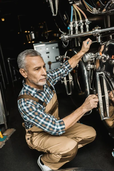 Professionelle männliche Brauer arbeiten mit Brauereiausrüstung — Stockfoto