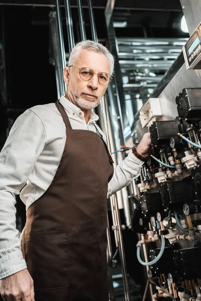Male senior brewer in apron working in brewery — Stock Photo