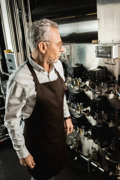 Professional senior brewer in apron working in brewery — Stock Photo