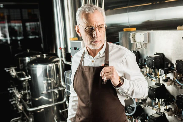 Senior male owner in apron working in brewery — Stock Photo
