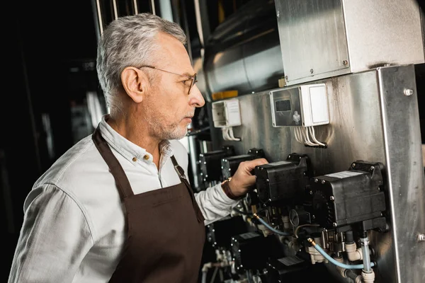 Maschio anziano birraio in grembiule guardando attrezzature birreria — Foto stock