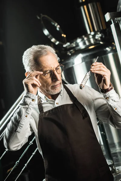 Stattliche männliche Brauer begutachtet Bier in Rohr in Brauerei — Stockfoto