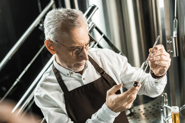 Senior male brewer examining beer in flask in brewery — Stock Photo