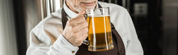 Visão cortada de cervejeiro sênior testando cerveja na cervejaria — Fotografia de Stock