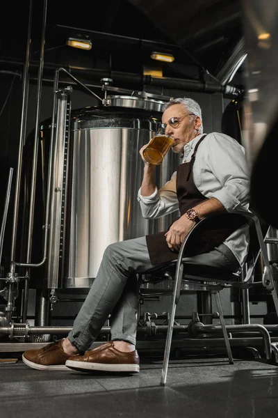 Cervecero senior en delantal sentado en silla y probando cerveza en cervecería - foto de stock