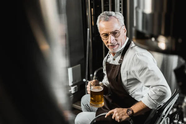 Cervejeiro sênior em avental sentado na cadeira e segurando vidro de cerveja na cervejaria — Fotografia de Stock