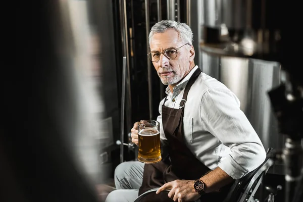 Cervejeiro profissional em avental sentado na cadeira e segurando vidro de cerveja na cervejaria — Fotografia de Stock