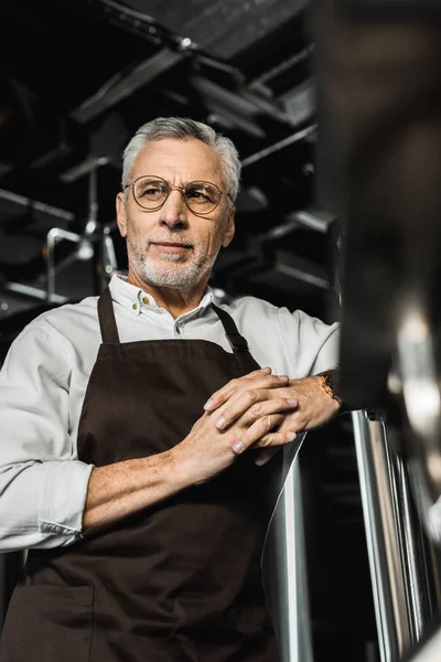 Confident senior brewer in apron standing in brewery — Stock Photo