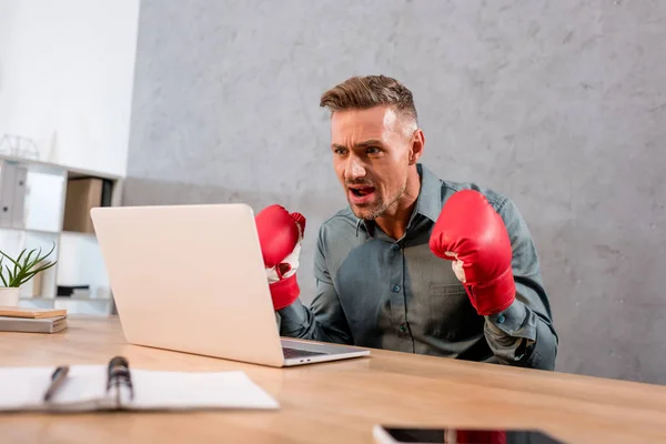 Excited businessman watching championship on laptop while wearing boxing gloves in office — Stock Photo