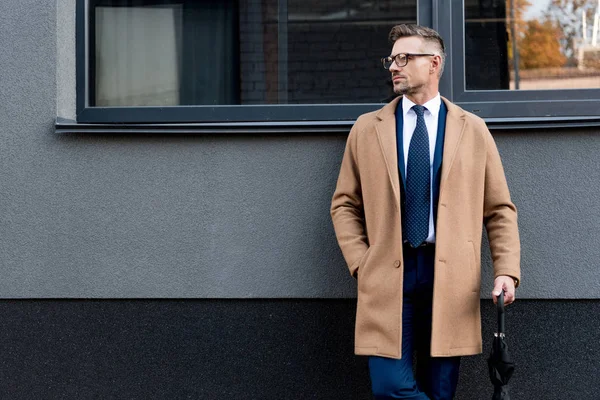 Handsome businessman in glasses holding umbrella and standing with hand in pocket — Stock Photo