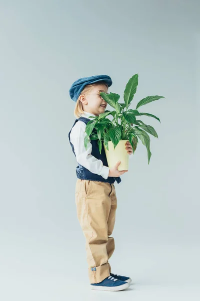Чарівна дитина в ретро жилеті і кепці тримає рослину в вазоні на сірому фоні — стокове фото