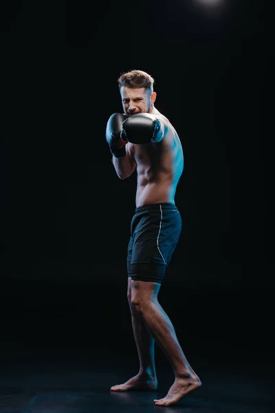 Muscular shirtless strenuous boxer in boxing gloves doing punch on black — Stock Photo