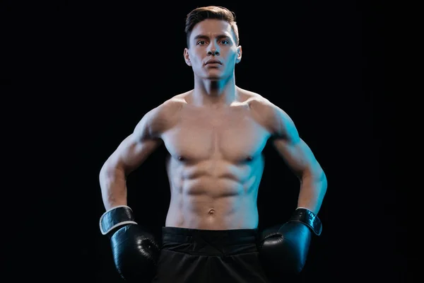Confiado boxeador deportivo muscular en guantes de boxeo posando aislado en negro - foto de stock