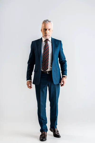 Serious middle aged businessman in suit standing on grey — Stock Photo