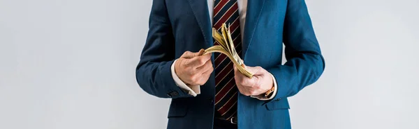 Panoramic shot of mature businessman in suit holding dollar banknotes isolated on grey — Stock Photo