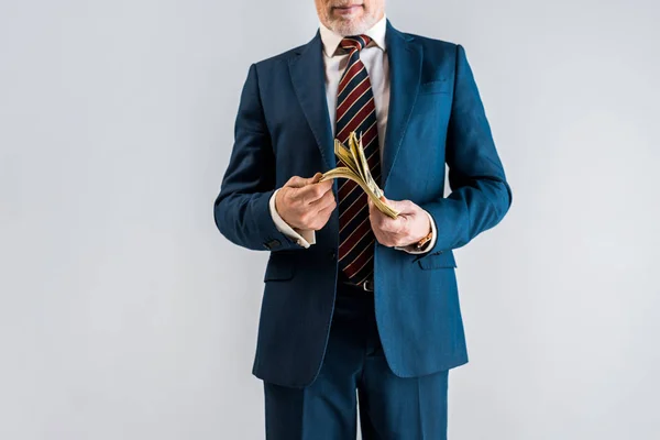 Cropped view of mature businessman in suit holding dollar banknotes isolated on grey — Stock Photo