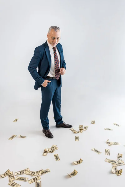 Cheerful mature businessman with hand on pocket and looking at dollar banknotes on grey — Stock Photo