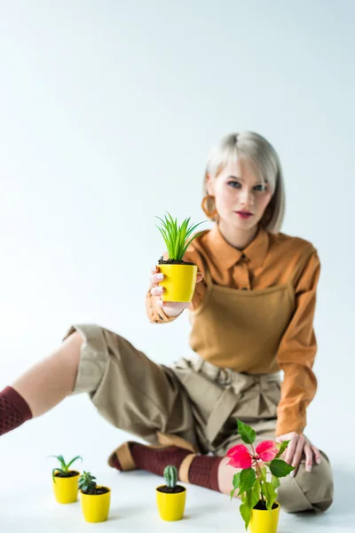 Beautiful stylish girl holding flower pot and looking at camera on white — Stock Photo