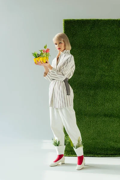 Schönes stilvolles Mädchen, das in die Kamera schaut, während es Blumentöpfe auf grau mit grünem Gras hält — Stockfoto