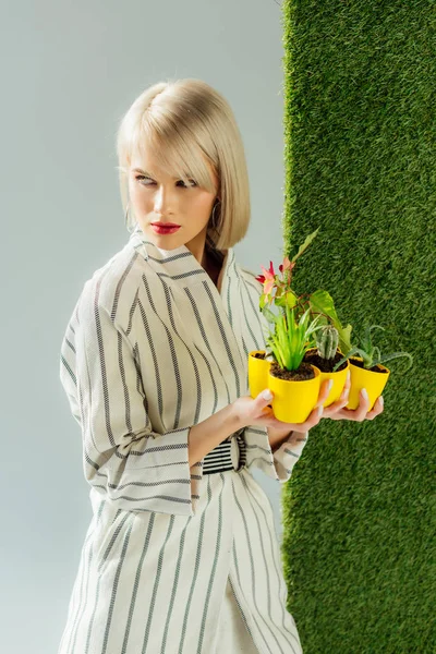 Hermosa chica elegante mirando hacia otro lado mientras sostiene macetas en gris con hierba verde - foto de stock