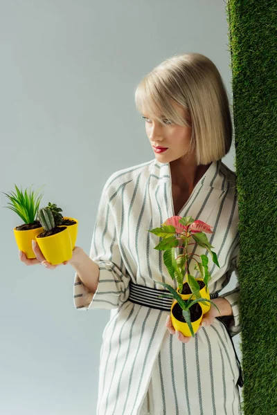 Belle jeune femme élégante tenant des pots de fleurs sur gris avec herbe verte — Photo de stock