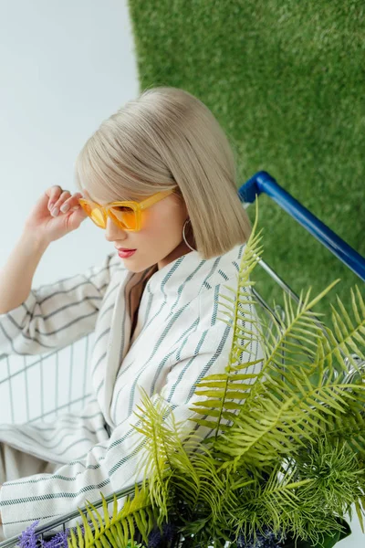 Bela menina elegante sentado no carrinho de compras com samambaia e posando no branco com grama verde — Fotografia de Stock