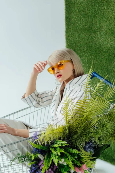 Красива стильна дівчина сидить у кошику з папороті та квітами на білому з зеленою травою — стокове фото