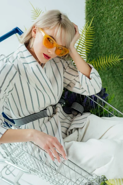 Belle fille élégante assise dans le panier avec fougère et regardant la caméra sur blanc avec herbe verte — Photo de stock