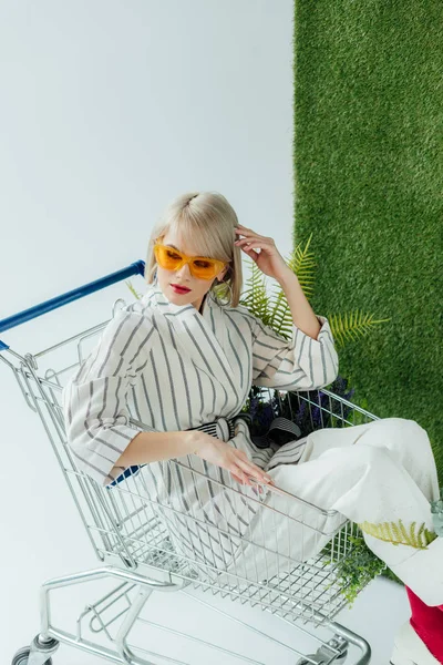 Beautiful stylish girl sitting in shopping cart with fern and posing on white with green grass — Stock Photo