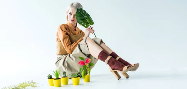 Panoramic shot of beautiful stylish girl posing with flower pots and green leaf on white — Stock Photo