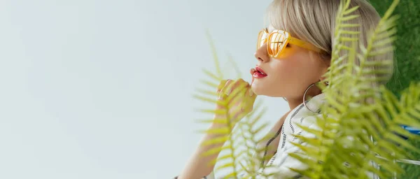 Panoramic shot of stylish girl in sunglasses with fern posing on white with green grass — Stock Photo