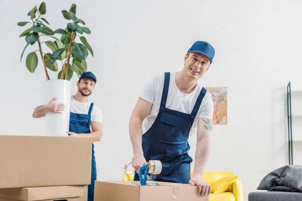 Mover holding plant and looking at colleague wrapping cardboard box with scotch tape in apartment — Stock Photo