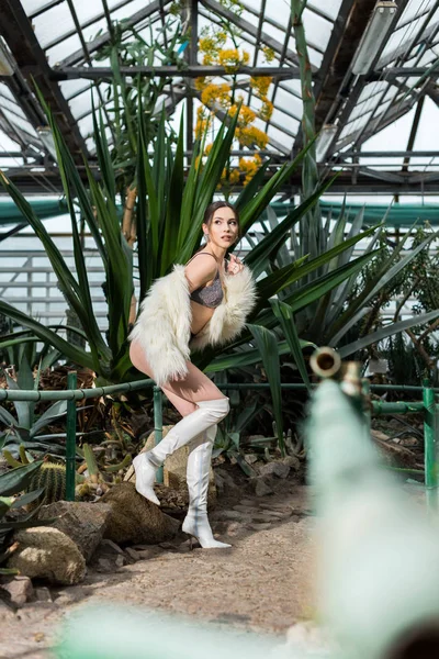 Visão de comprimento total da mulher graciosa sexy em casaco de peles falsas, roupas íntimas e botas brancas em pé em uma perna em orangery — Fotografia de Stock